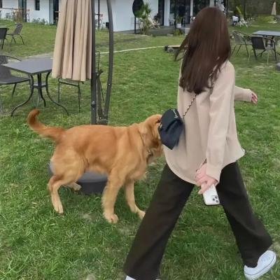 惨痛的战争